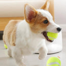 🐾🎮 Brinquedo Interativo Automático para Animais – Diversão Sem Fim! - MineirosOfertas