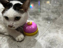 🔔 Diga adeus às adivinhações! Ensine o seu patudo 🐾 a comunicar com o Pet Footprint Ringer! - MineirosOfertas
