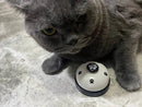 🔔 Diga adeus às adivinhações! Ensine o seu patudo 🐾 a comunicar com o Pet Footprint Ringer! - MineirosOfertas